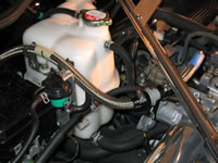 100_0006.jpg (90kb)