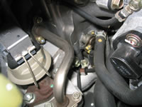 100_0009.jpg (87kb)