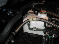 100_0013.jpg (74kb)
