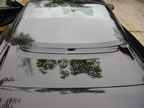 DSC02532.JPG (1,233kb)